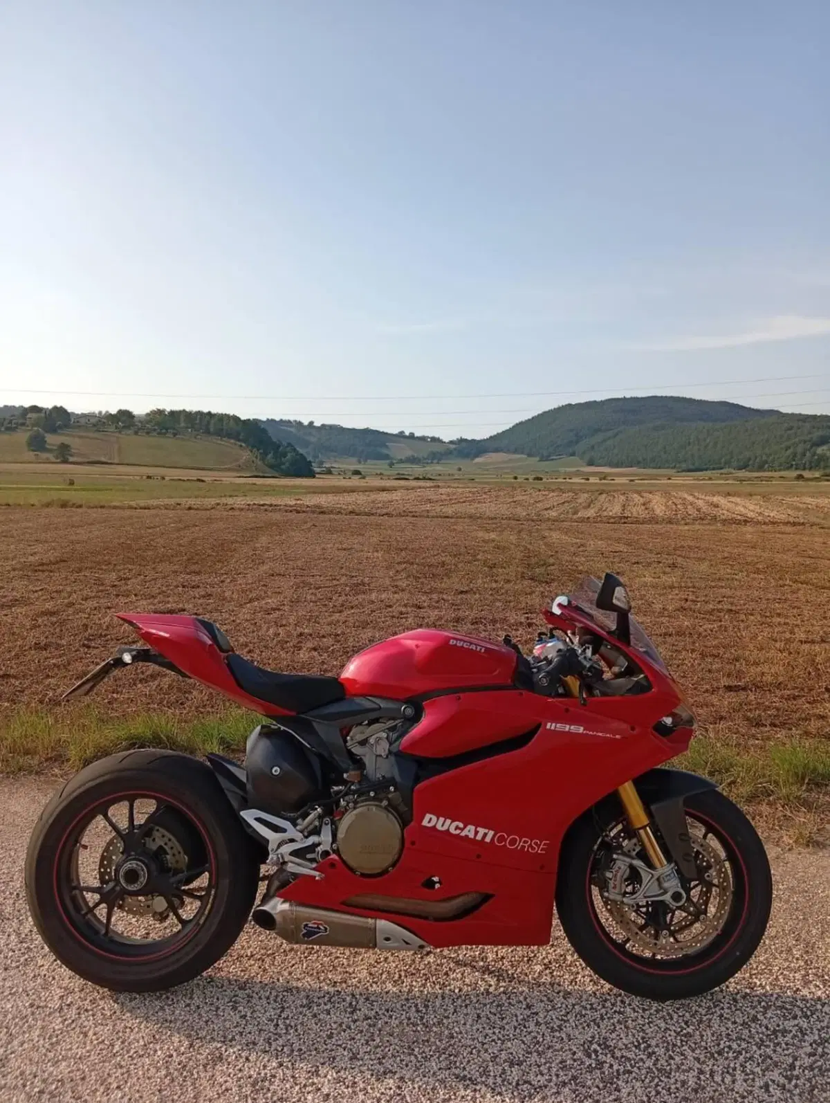Ducati 1199 Panigale S (2013 - 14)
