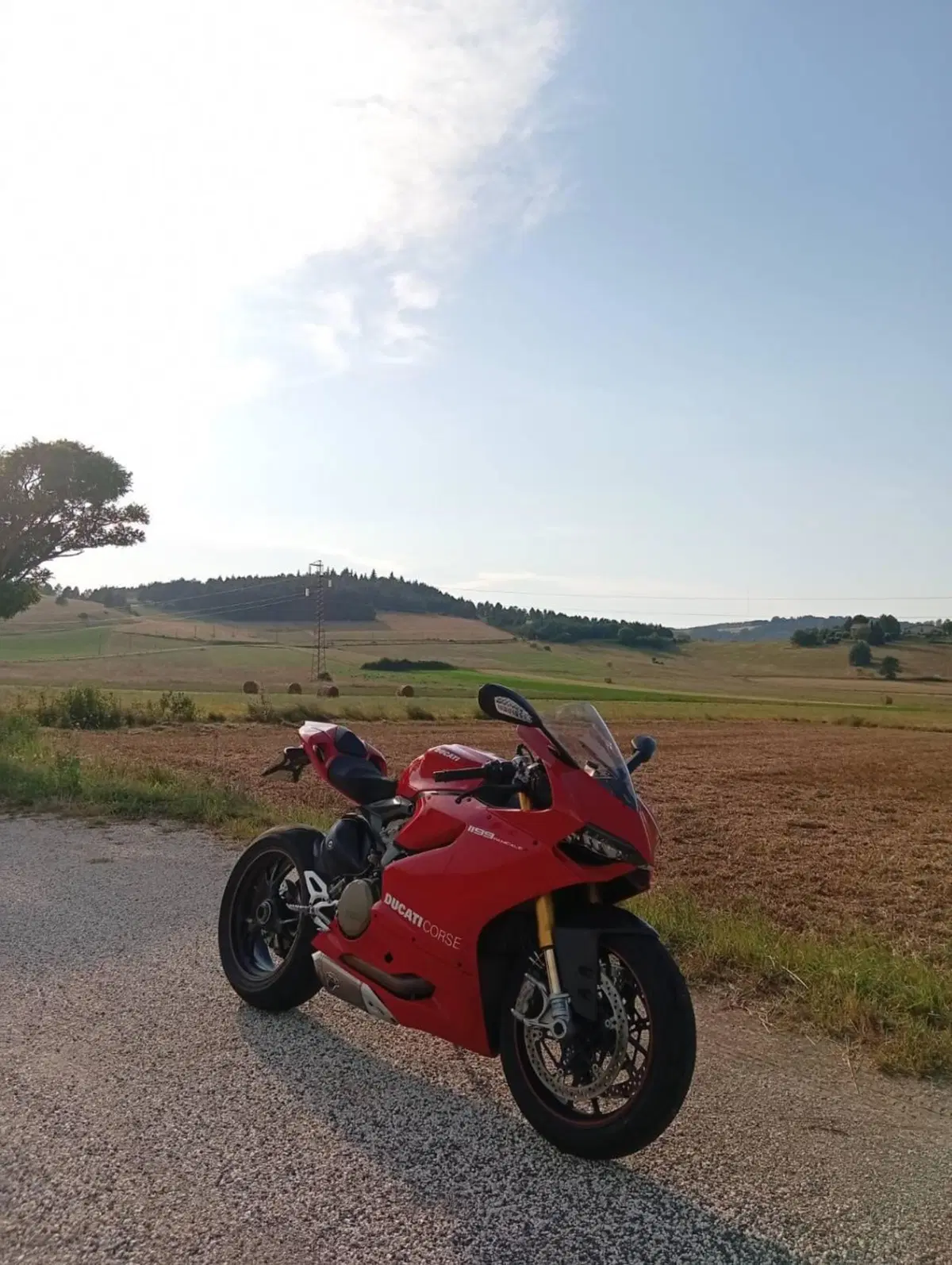 Ducati 1199 Panigale S (2013 - 14) (2)