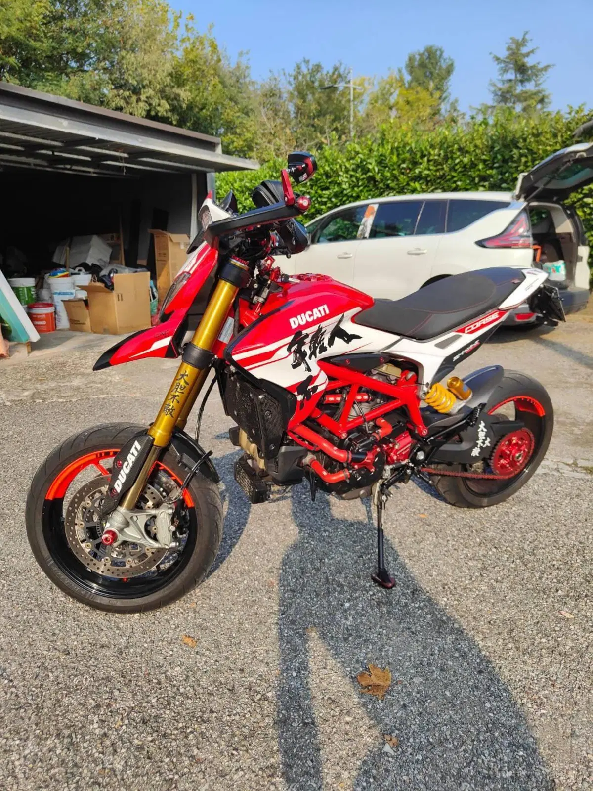 Ducati Hypermotard 939 SP (2016 - 18) (9)