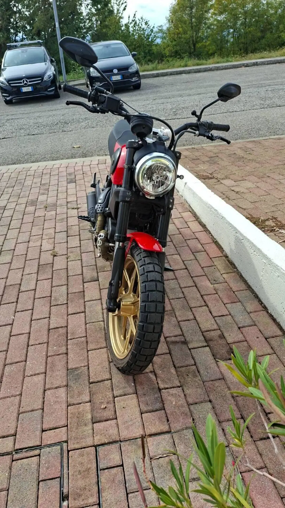 Ducati Scrambler 800 Icon (2015 - 16) (4)