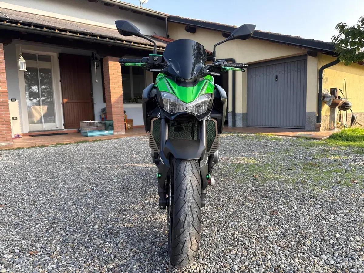 Kawasaki Z 900 (2017 - 18) (2)