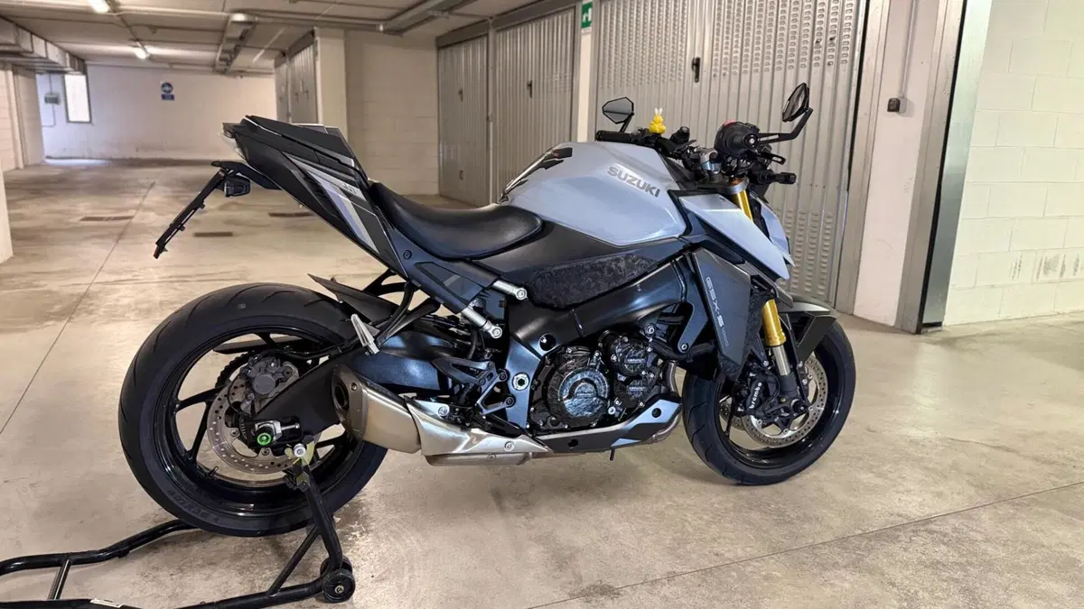 Suzuki GSX-S1000 (2021 - 25)