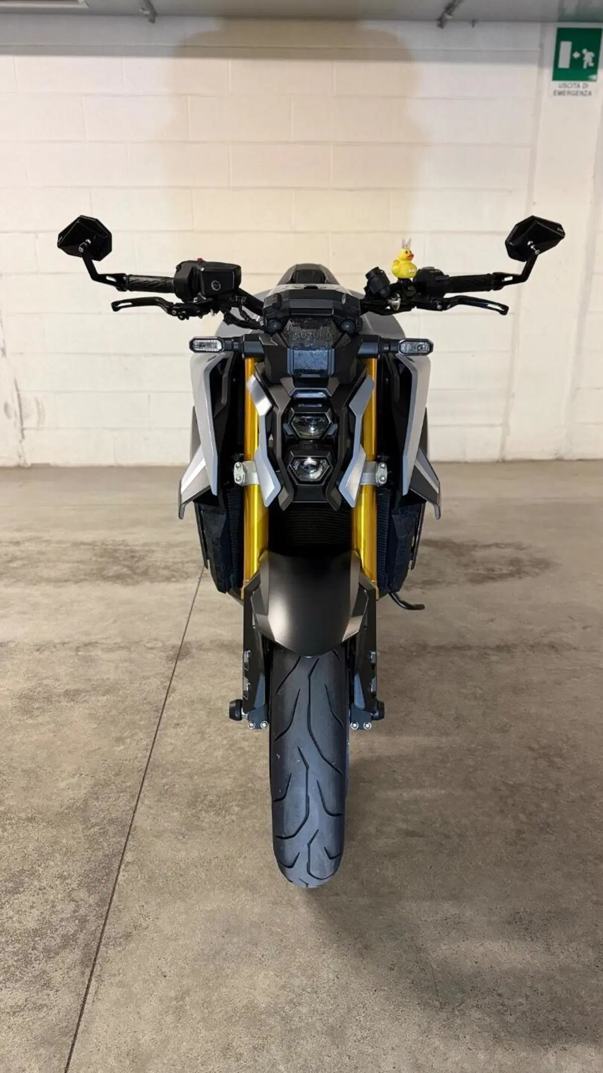 Suzuki GSX-S1000 (2021 - 25) (3)