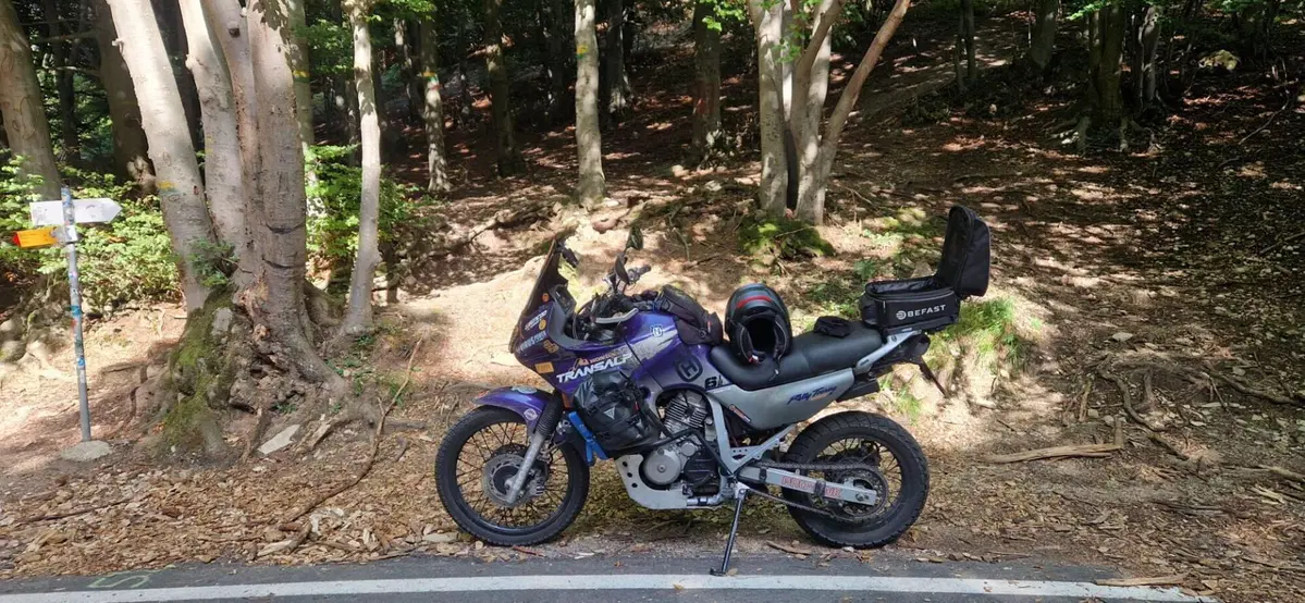 Honda Transalp XL 600V (1997 - 99) (7)