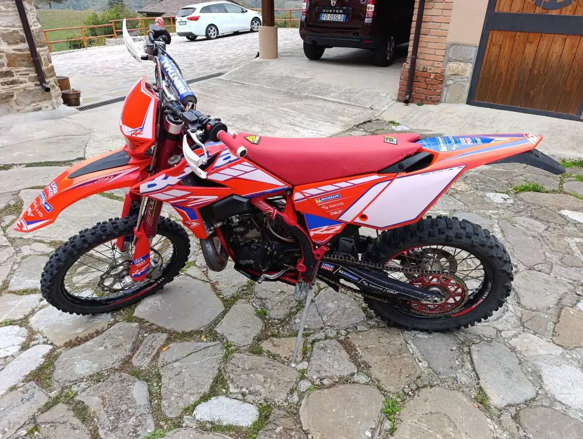 Betamotor RR 250 2T Enduro (2016) (2)