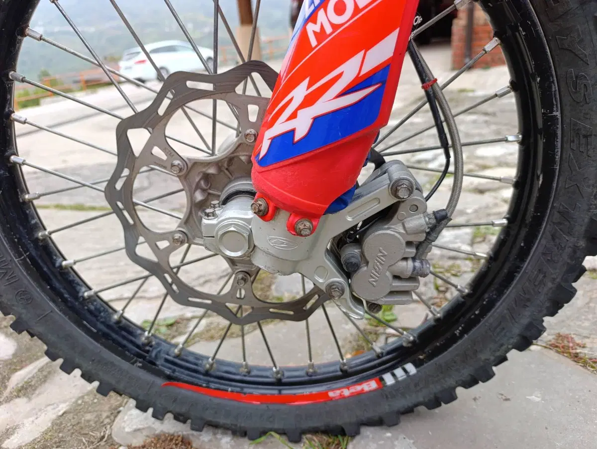 Betamotor RR 250 2T Enduro (2016) (14)