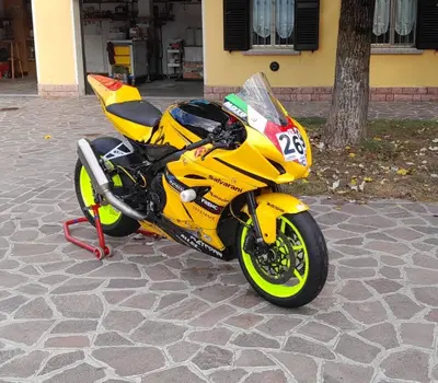 Suzuki GSX-R1000 (2017 - 18) usata