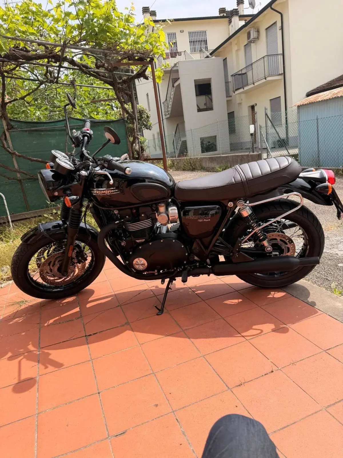 Triumph Bonneville T120 Black (2021 - 25)