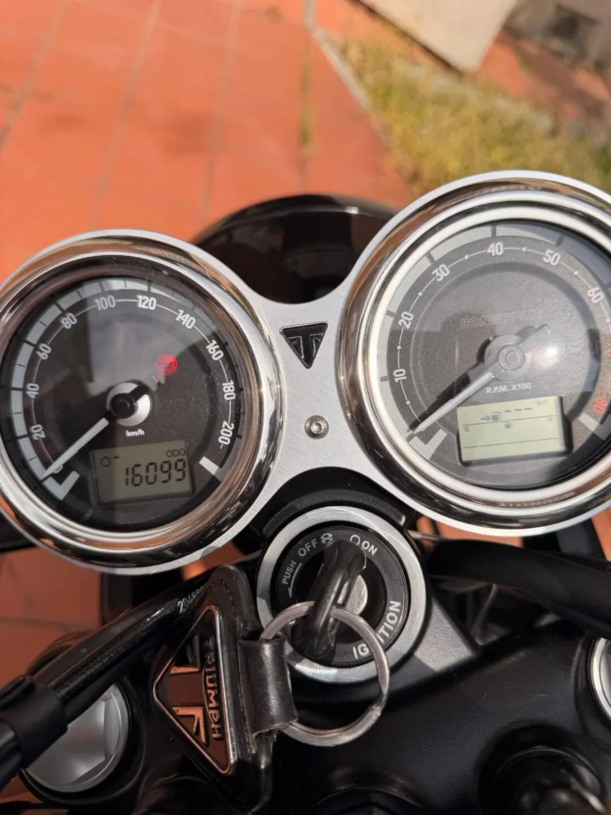 Triumph Bonneville T120 Black (2021 - 25) (12)
