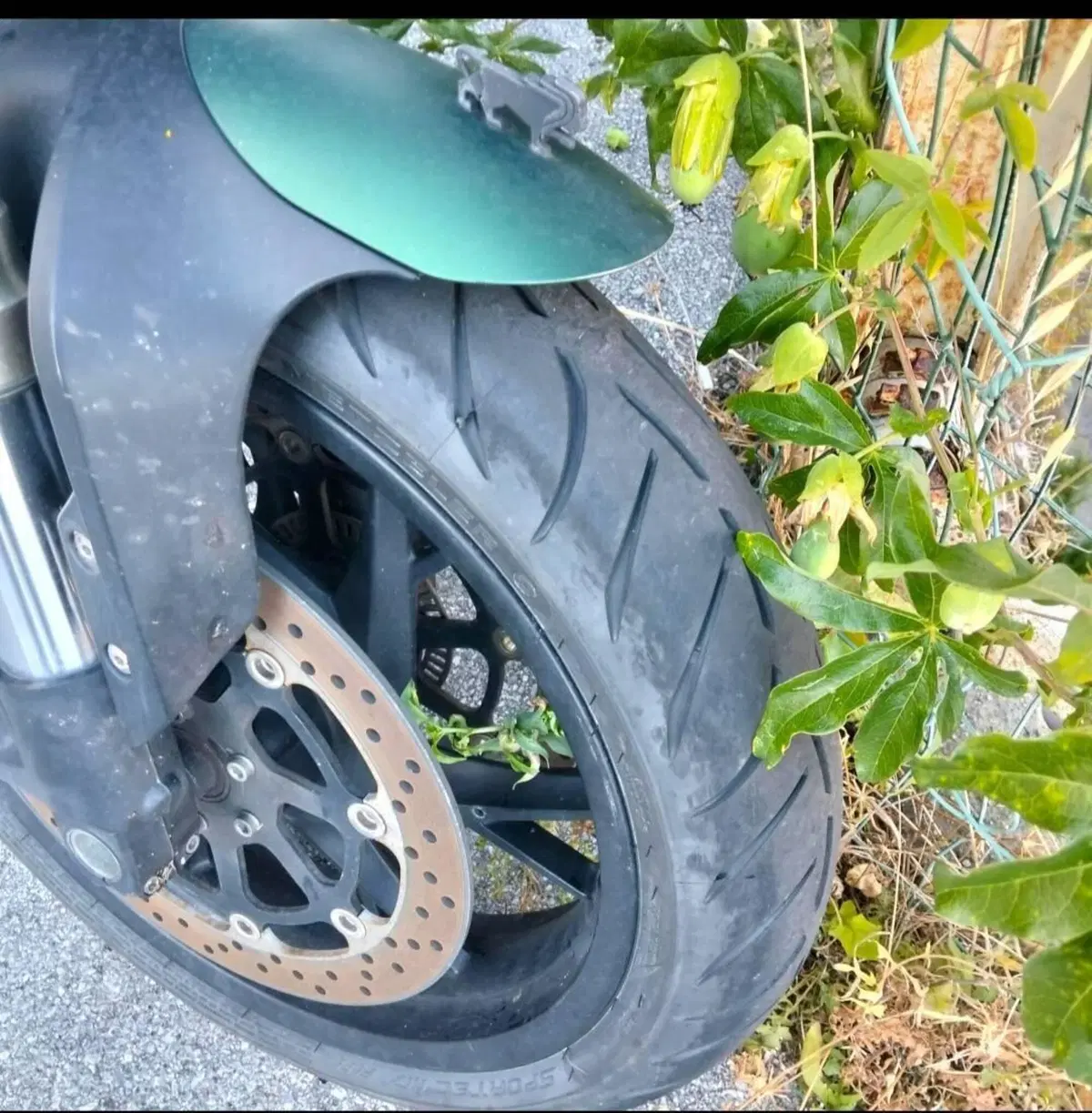 Benelli Leoncino 800 (2022 - 26) (5)