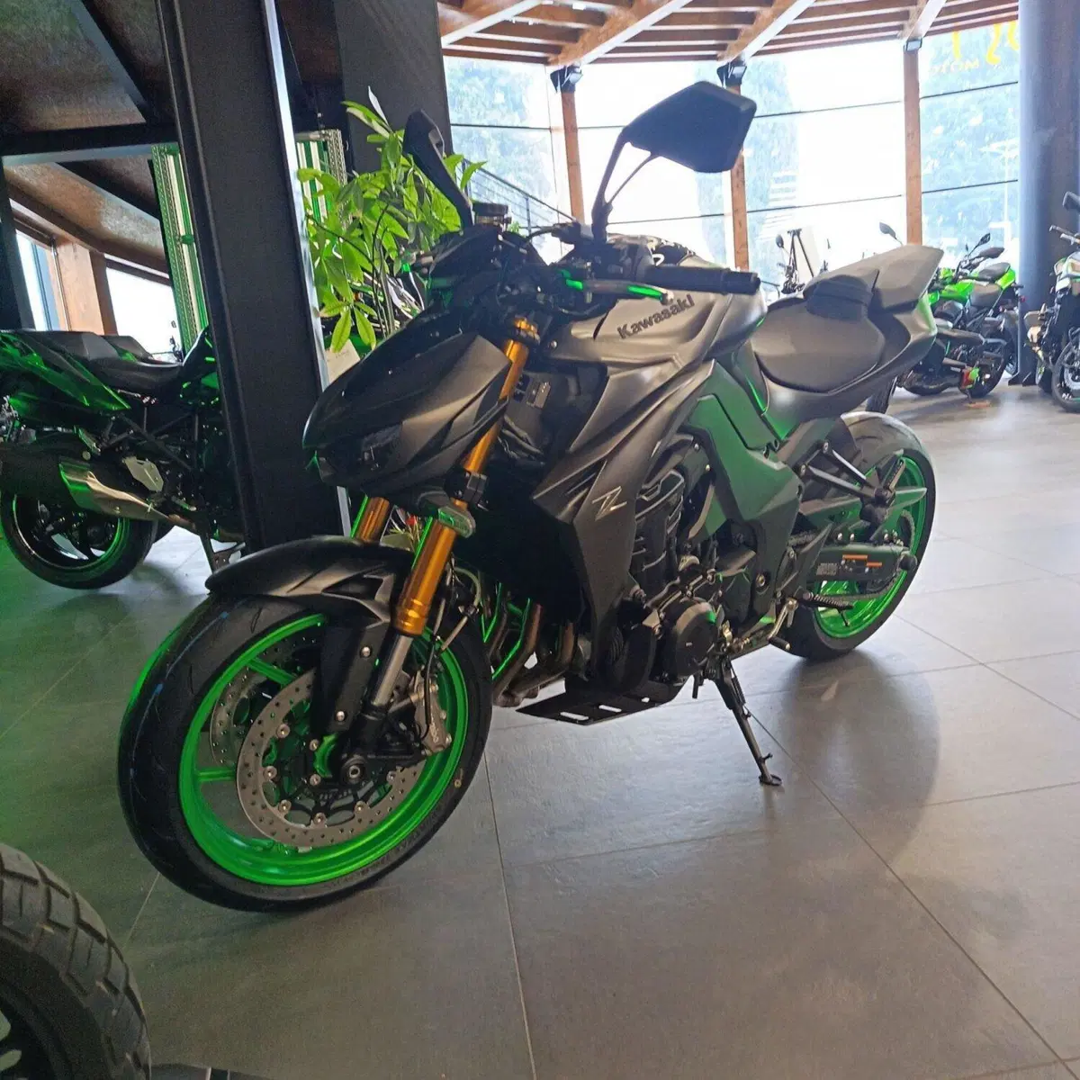 Kawasaki Z 1100 SE (2026 - 27) (7)