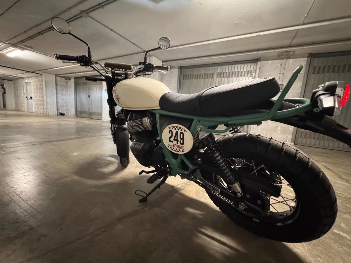 Royal Enfield Bear 650 (2025 - 26) (3)