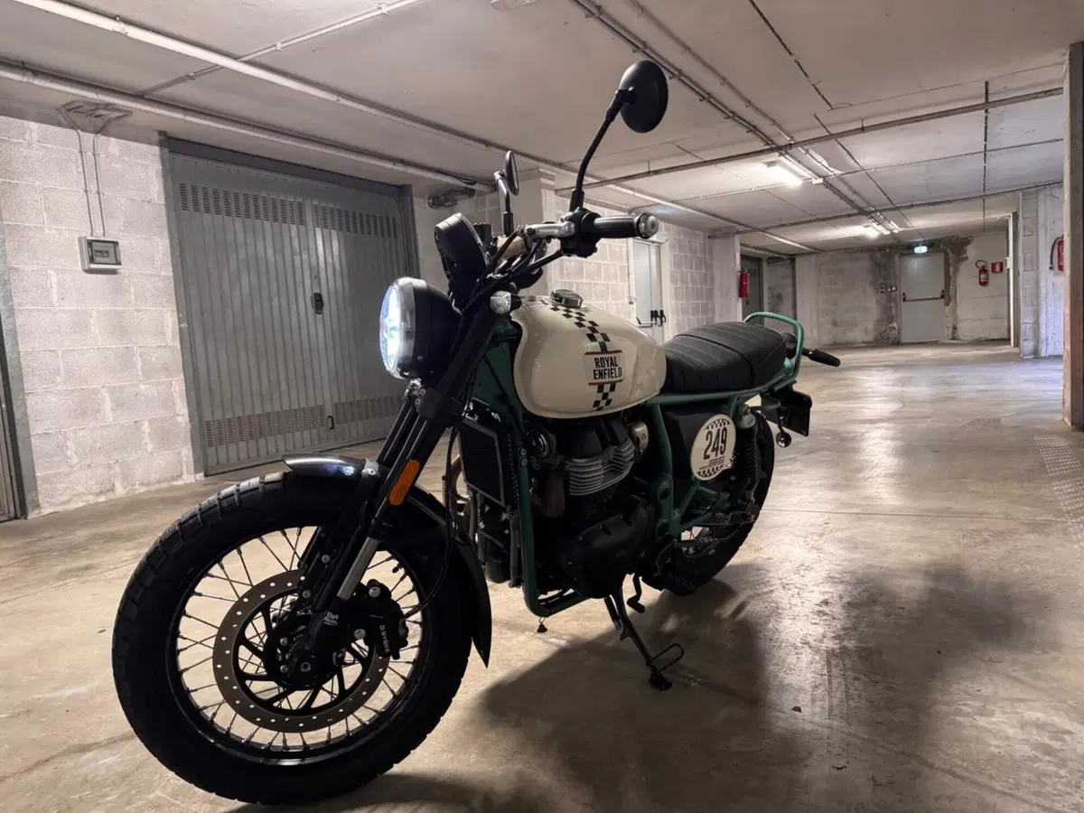 Royal Enfield Bear 650 (2025 - 26) (4)
