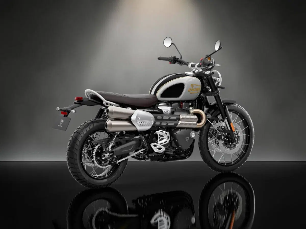Triumph Scrambler 1200 X Icon Edition (2025 - 26) (4)
