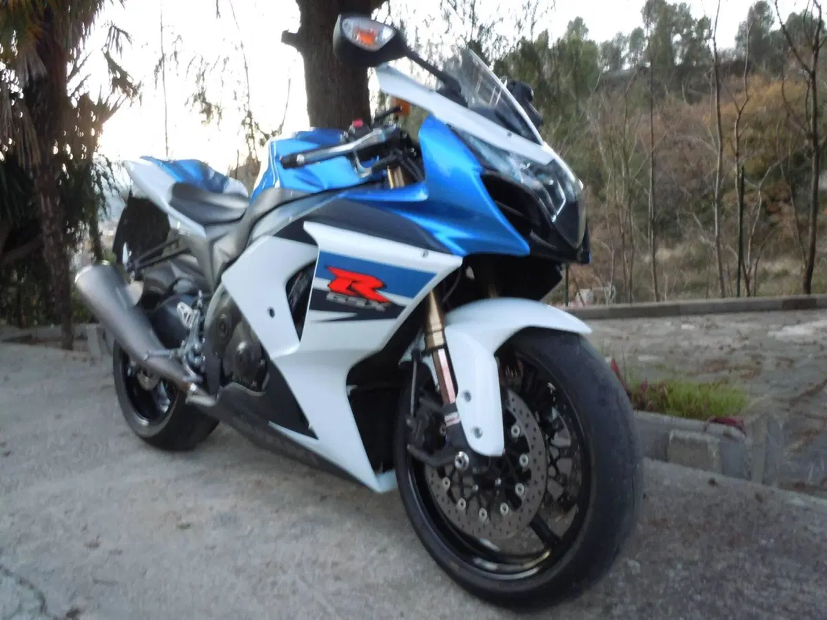 Suzuki GSX-R1000 (2009 - 11) (2)
