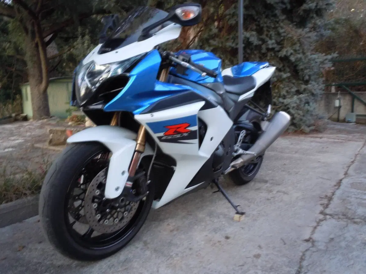 Suzuki GSX-R1000 (2009 - 11) (4)