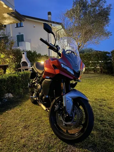 Triumph Tiger Sport 660 (2022 - 24) usata