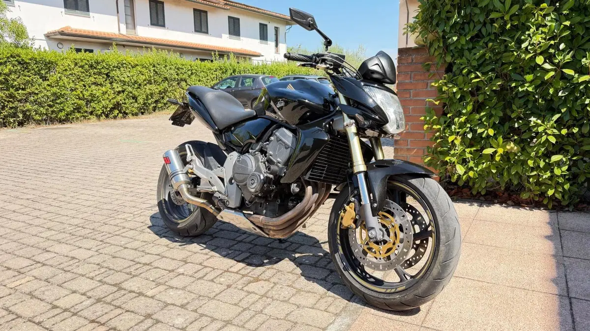 Honda Hornet 600 (2007 - 10) (2)