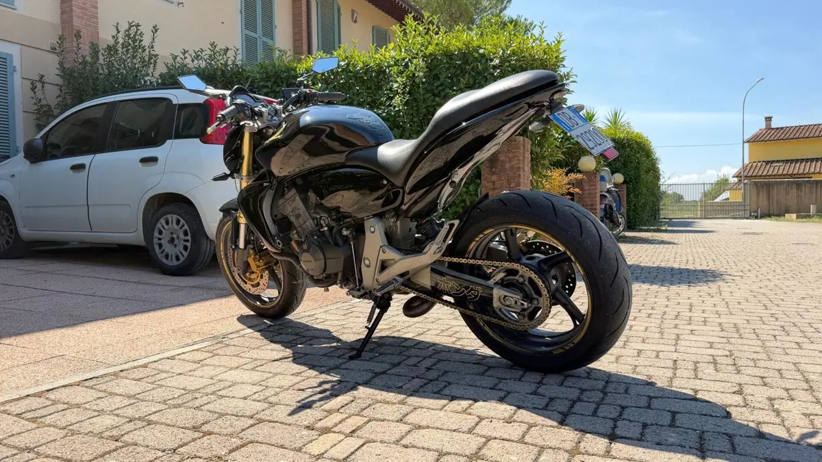 Honda Hornet 600 (2007 - 10) (4)