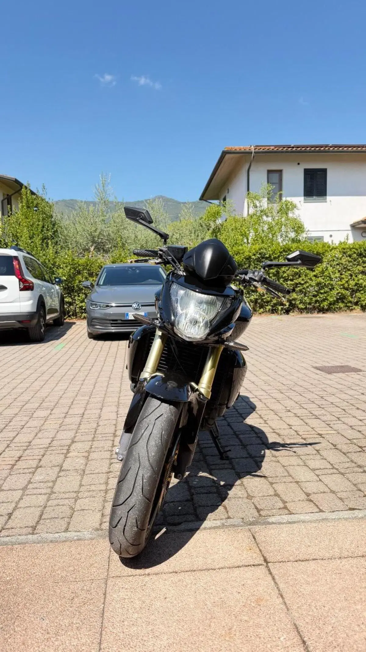 Honda Hornet 600 (2007 - 10) (5)