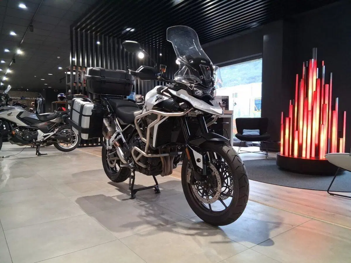 Triumph Tiger 900 GT Pro (2024 - 26) (2)