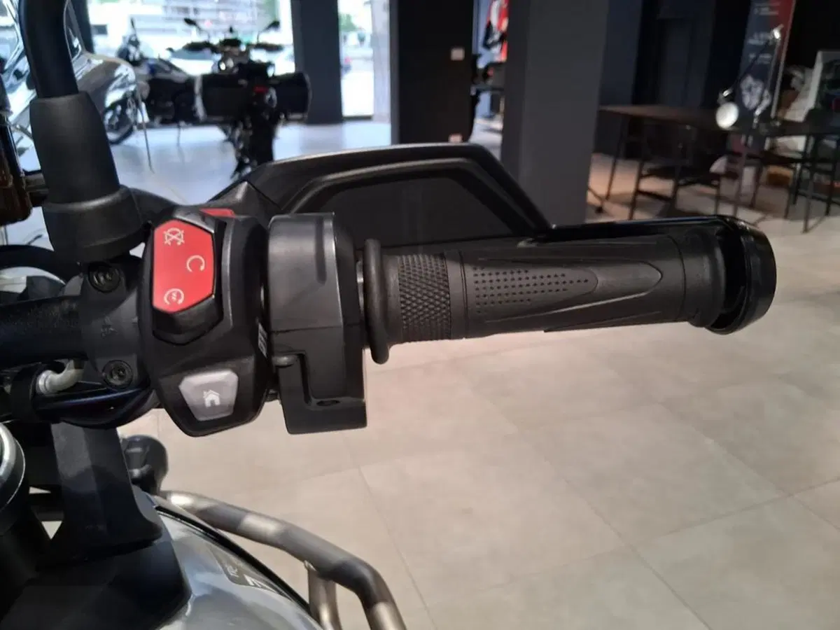 Triumph Tiger 900 GT Pro (2024 - 26) (12)