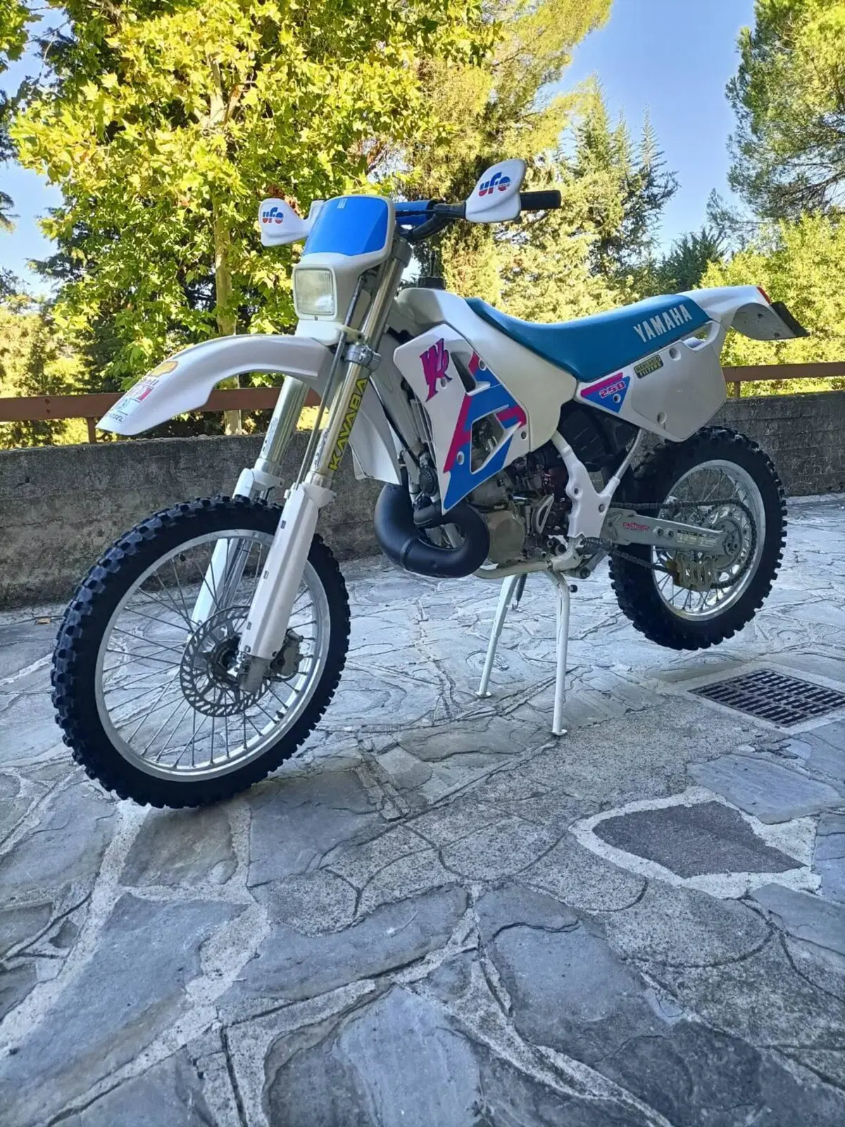 Yamaha wr 250 (3)