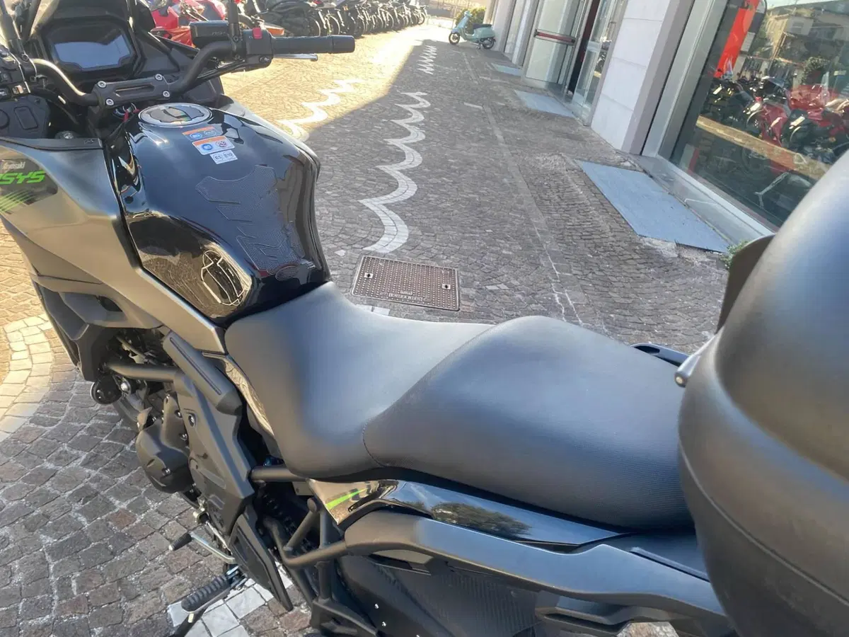 Kawasaki Versys 650 (2025 - 27) (5)
