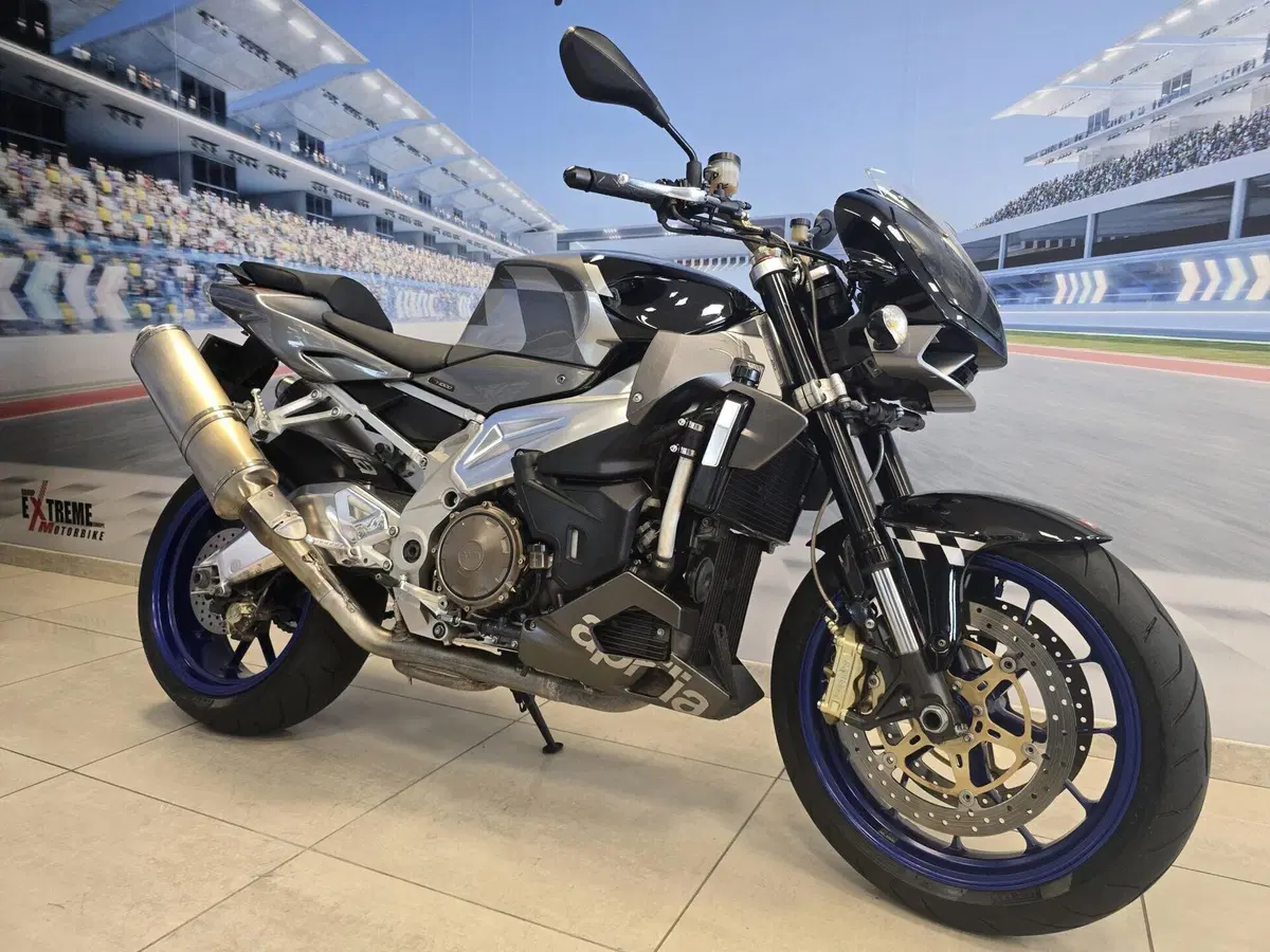 Aprilia Tuono 1000 R (2006 - 10) (2)