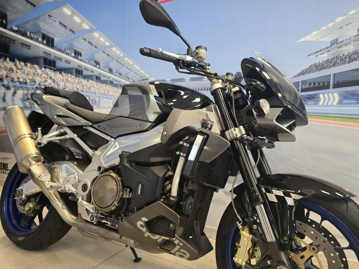 Aprilia Tuono 1000 R (2006 - 10) (14)
