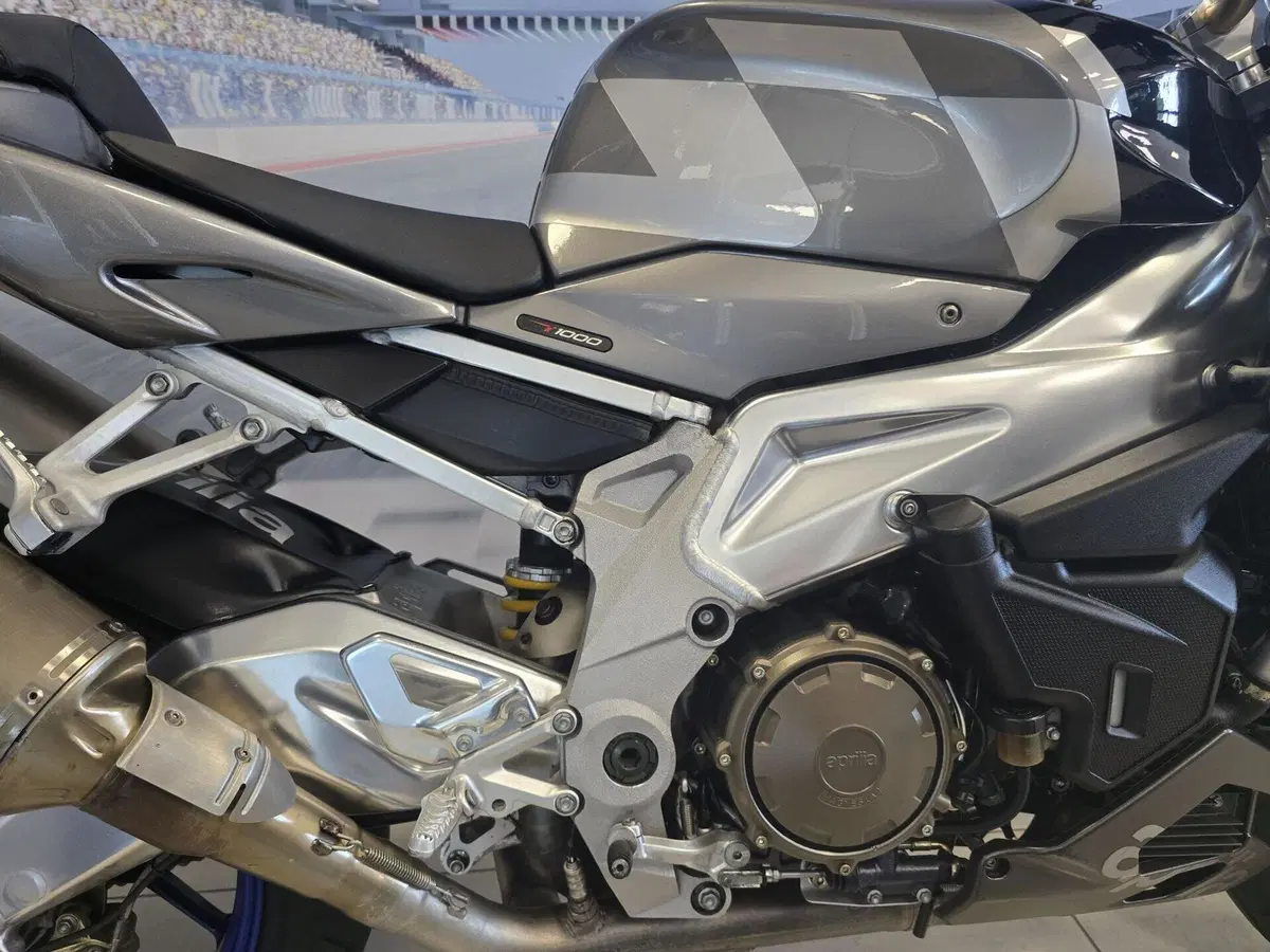 Aprilia Tuono 1000 R (2006 - 10) (19)