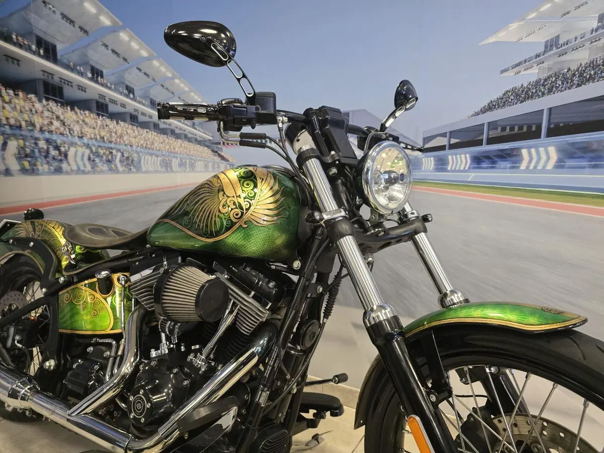Harley-Davidson 1584 Blackline (2011 - 13) - FXS (12)