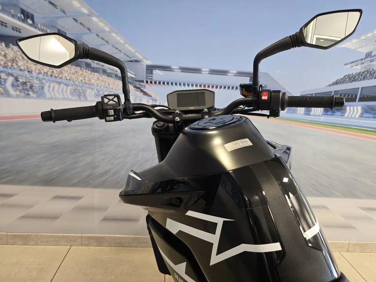 KTM 890 Duke GP (2022 - 23) (20)