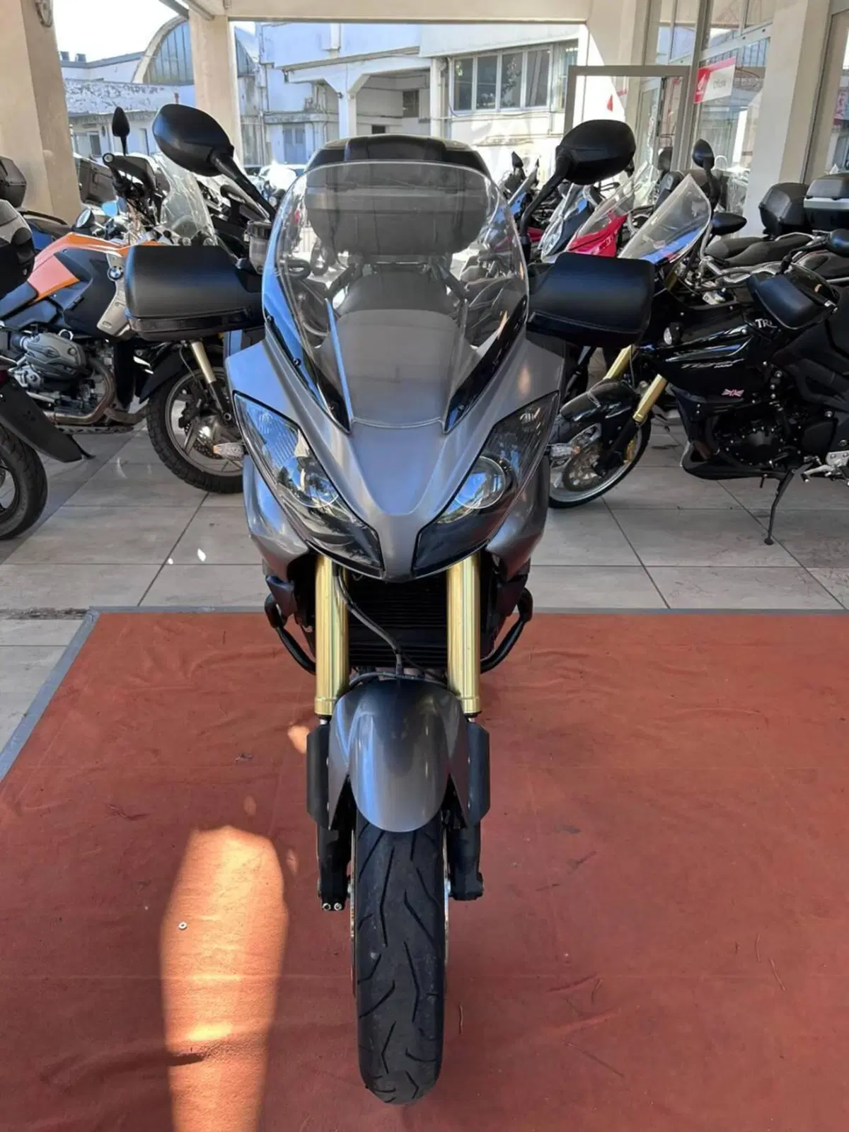 Triumph Tiger 1050 SE ABS (2006 - 13) (2)