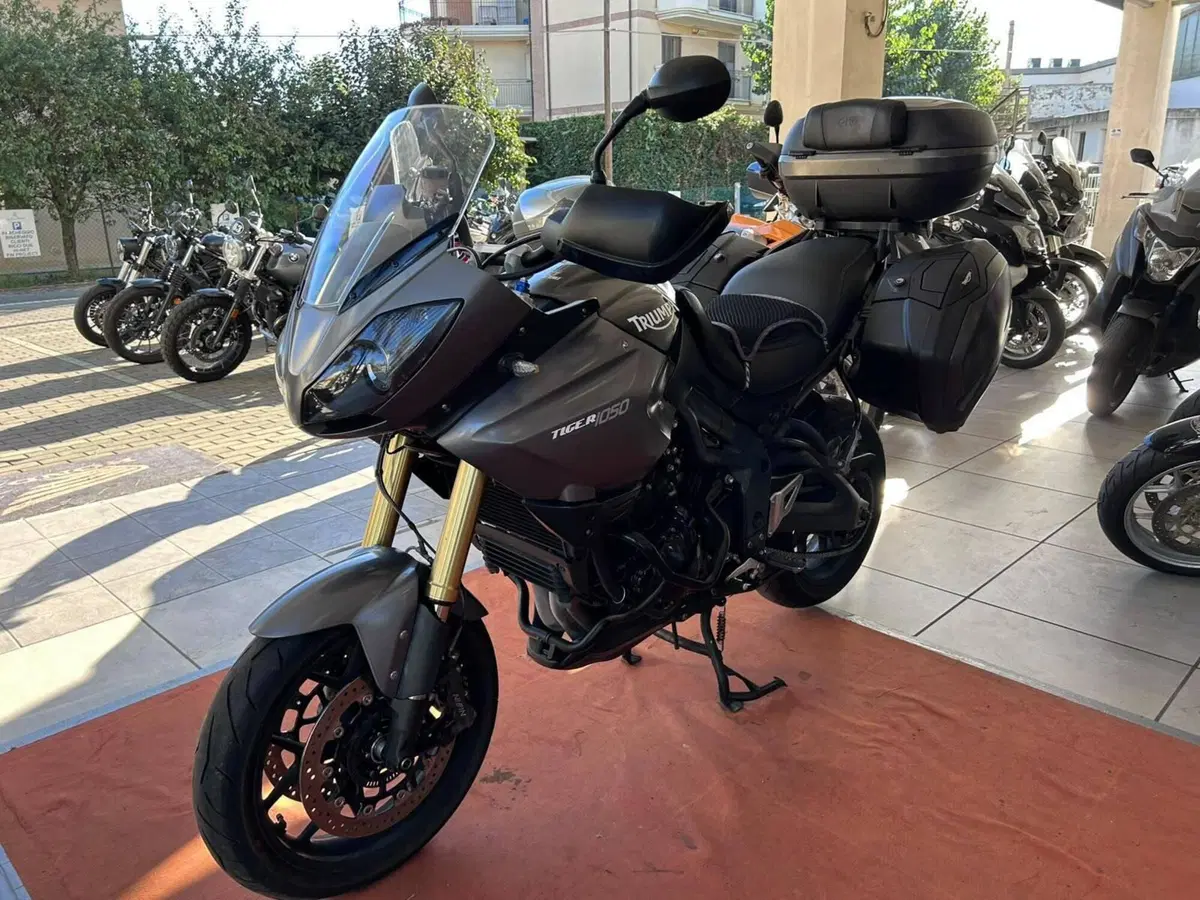 Triumph Tiger 1050 SE ABS (2006 - 13) (3)