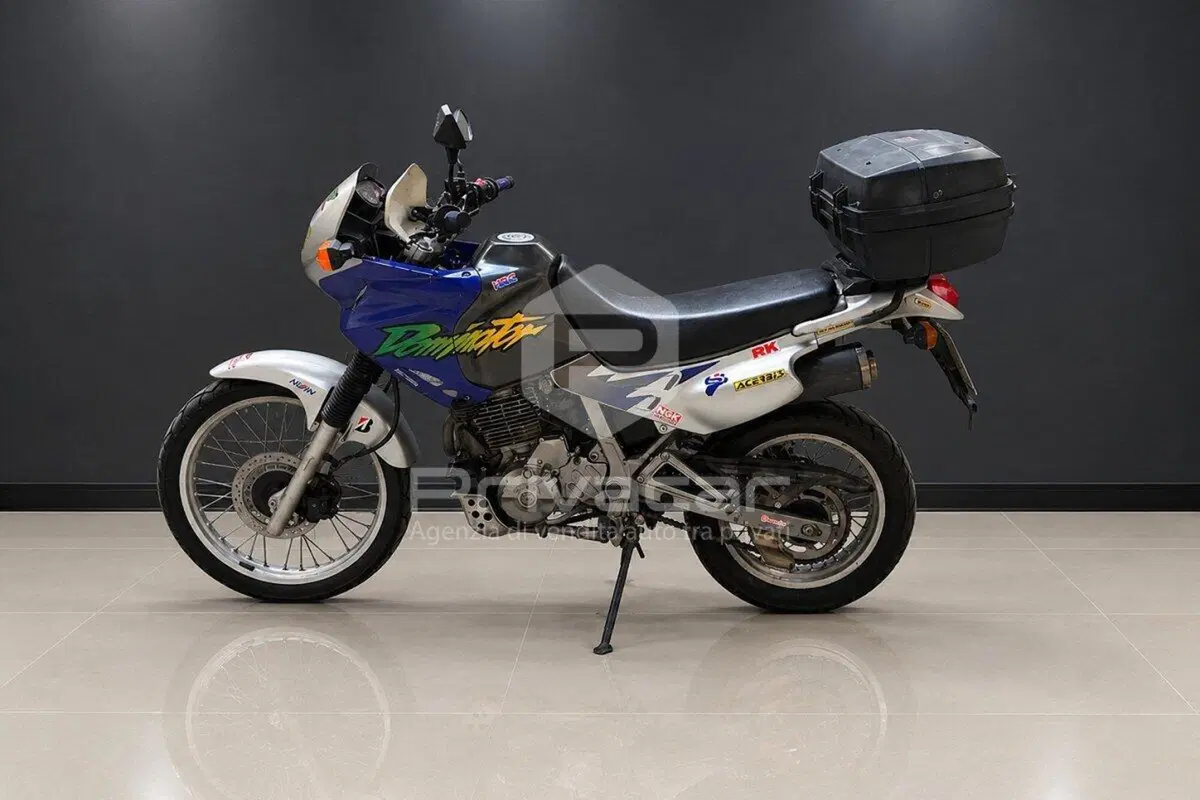 Honda NX 650 Dominator (1996 - 02) (3)
