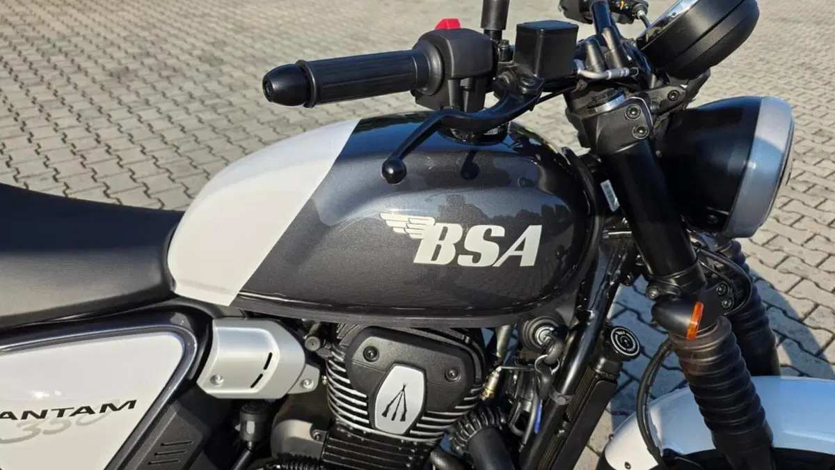 Bsa Bantam 350 (2025 - 26) (4)