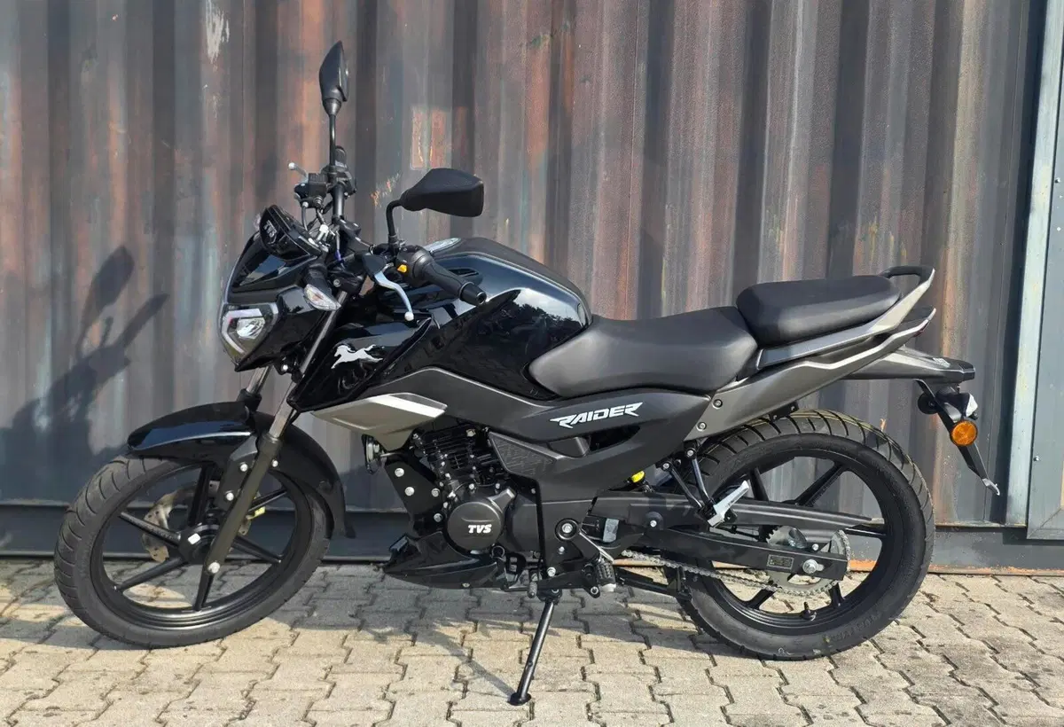 TVS Motor Raider 125 (2024 - 26) (2)