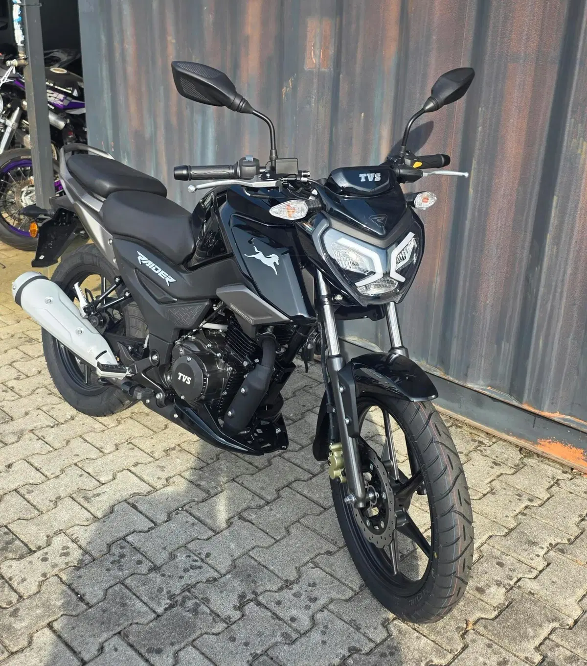 TVS Motor Raider 125 (2024 - 26) (3)
