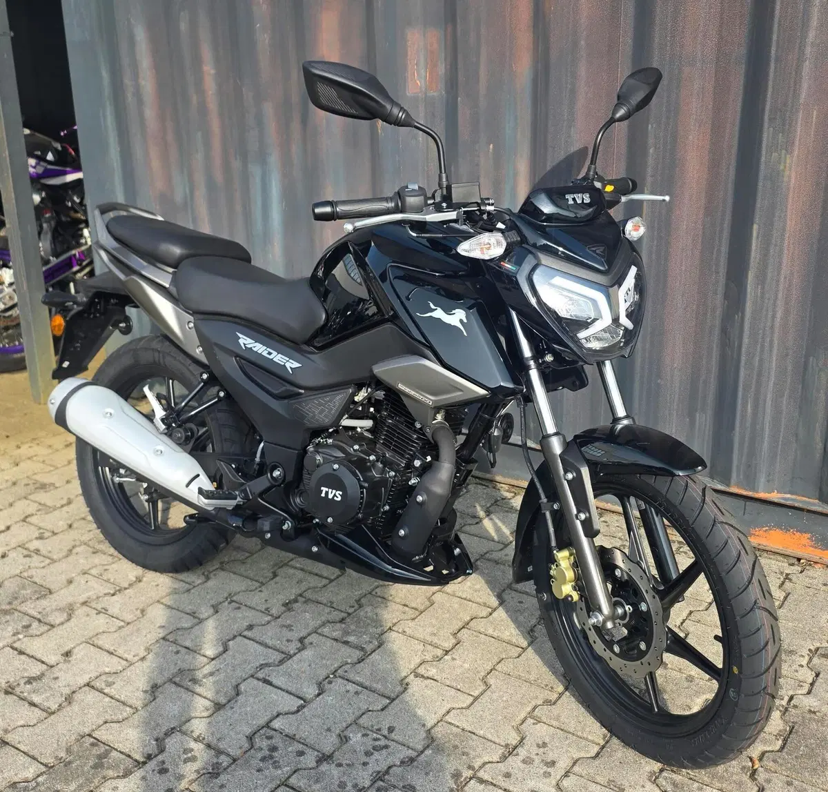 TVS Motor Raider 125 (2024 - 26) (5)