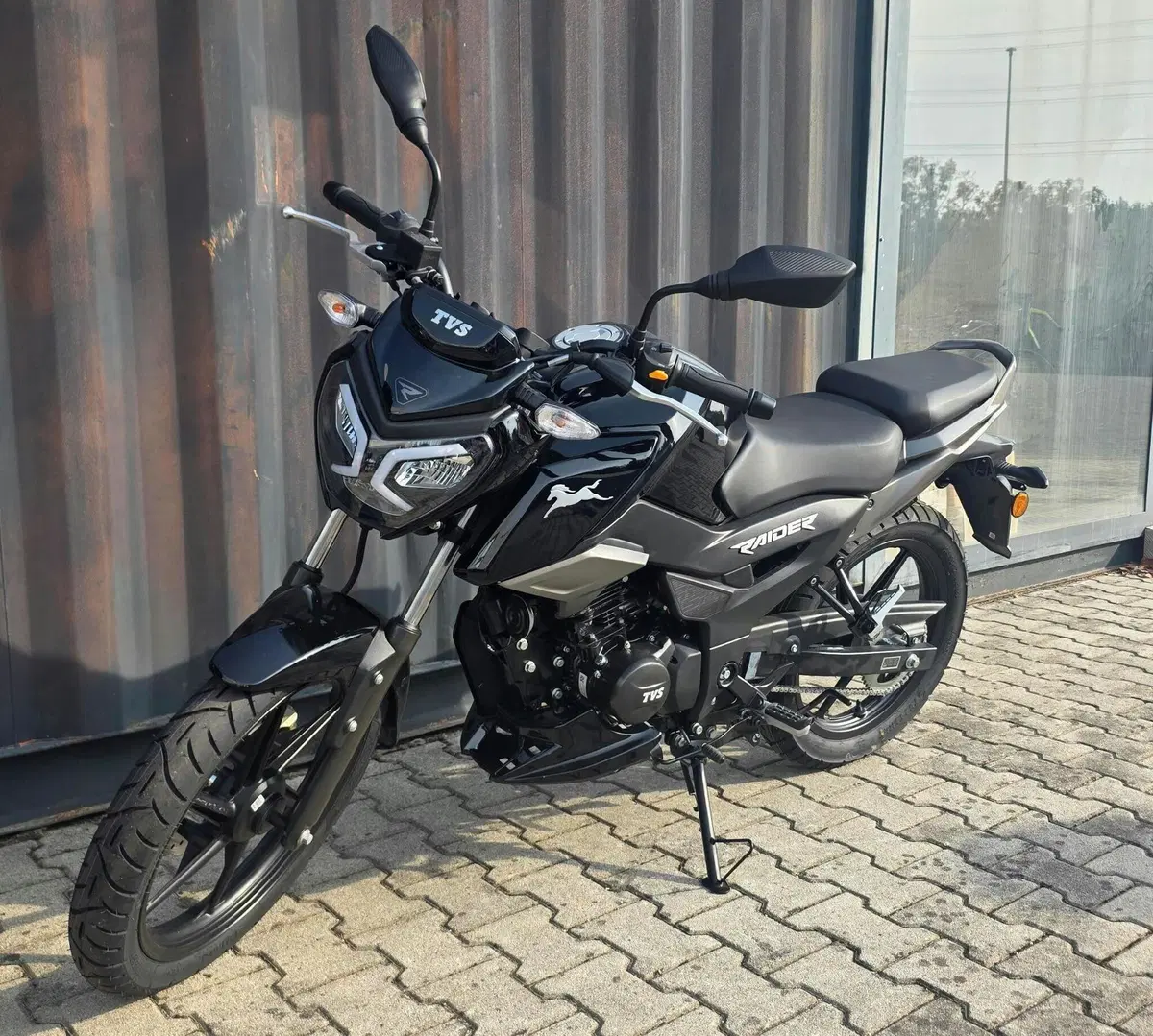 TVS Motor Raider 125 (2024 - 26) (6)