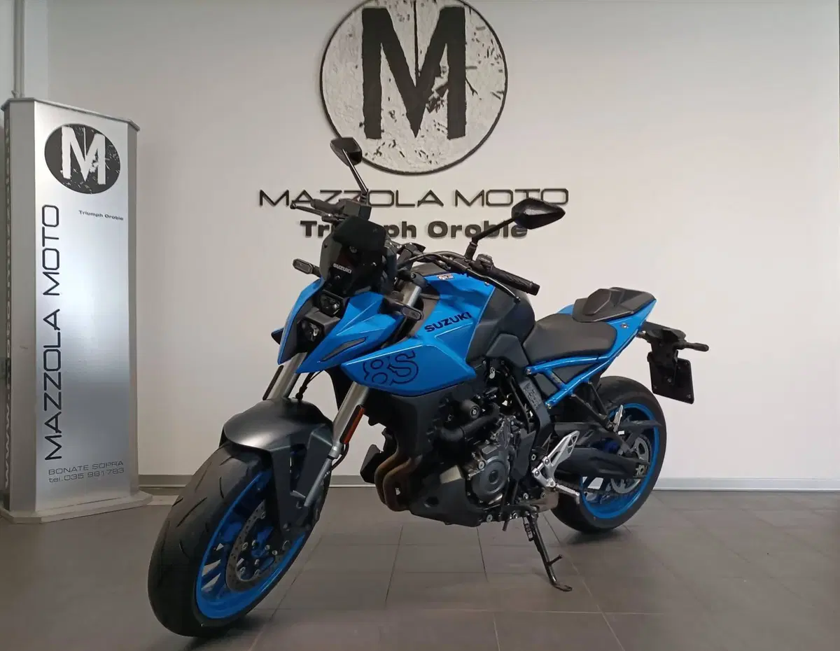 Suzuki GSX-8S (2023 - 24) (3)