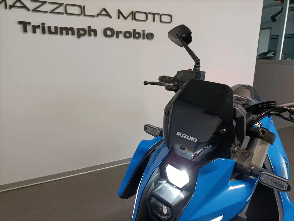 Suzuki GSX-8S (2023 - 24) (8)