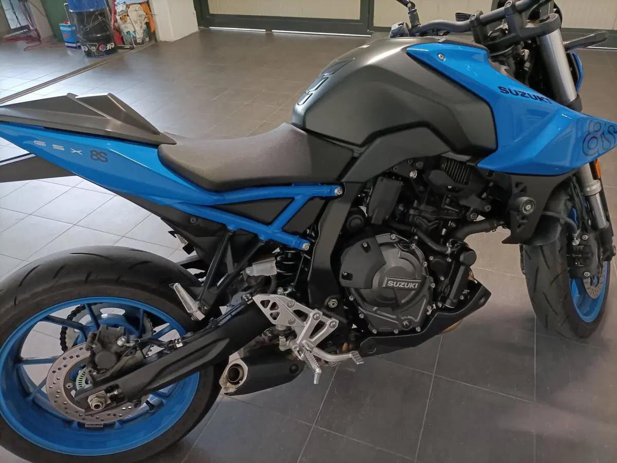 Suzuki GSX-8S (2023 - 24) (10)