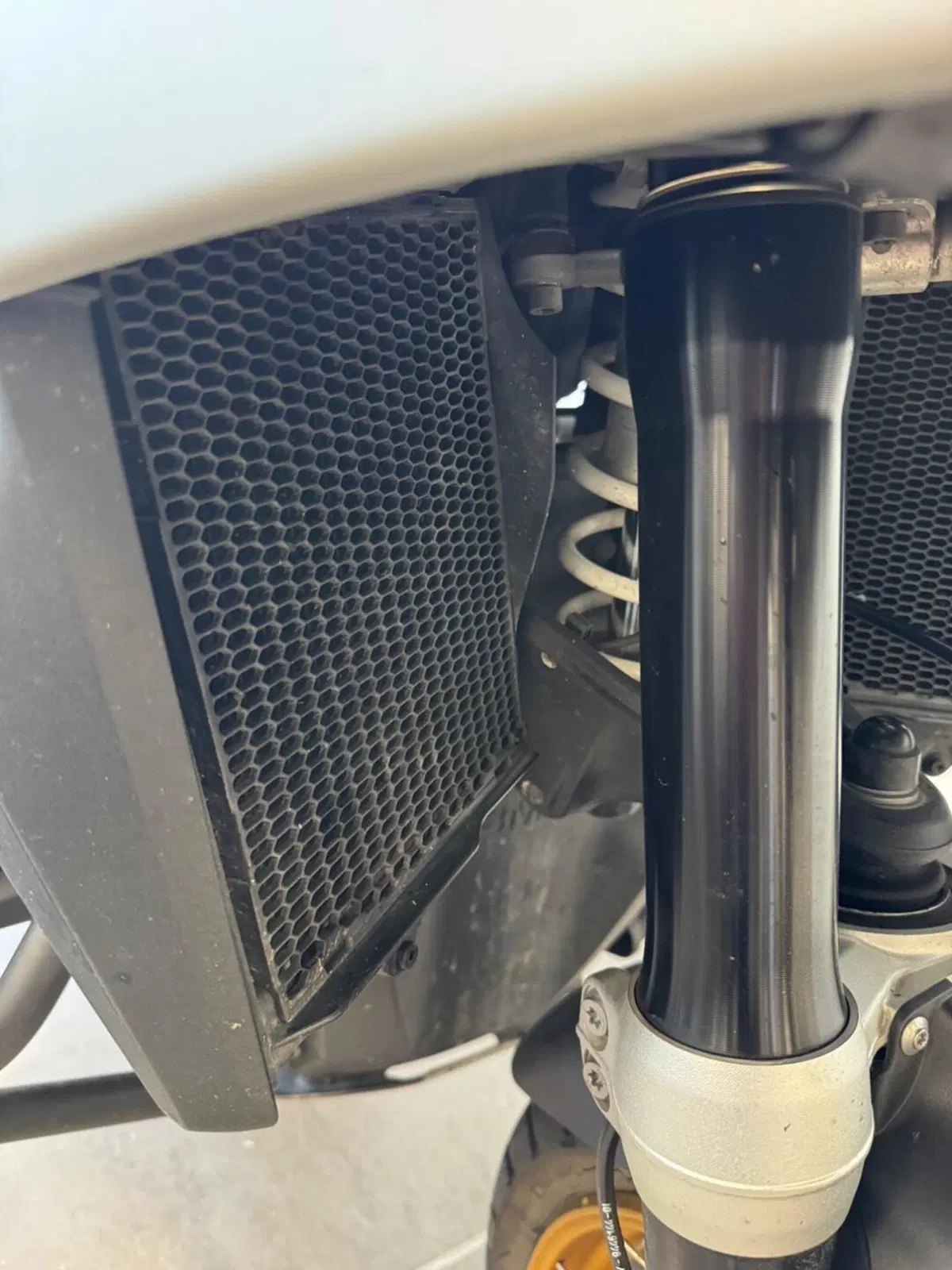 Bmw R 1300 GS Trophy (2023 - 26) (8)