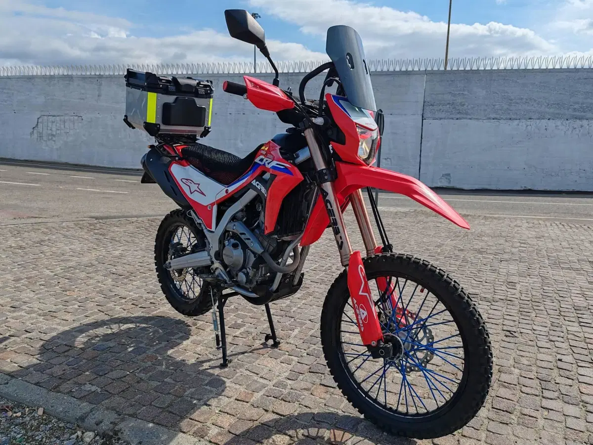 Honda CRF 300L (2021 - 24) (5)