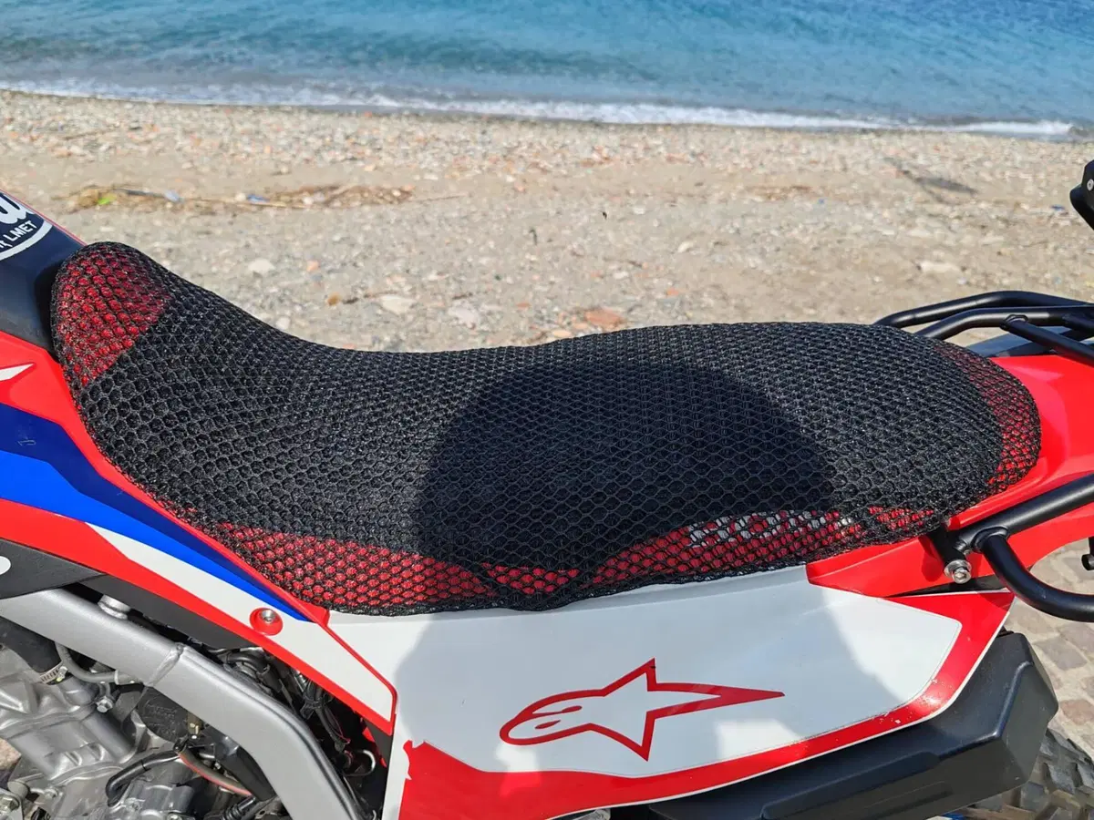 Honda CRF 300L (2021 - 24) (14)