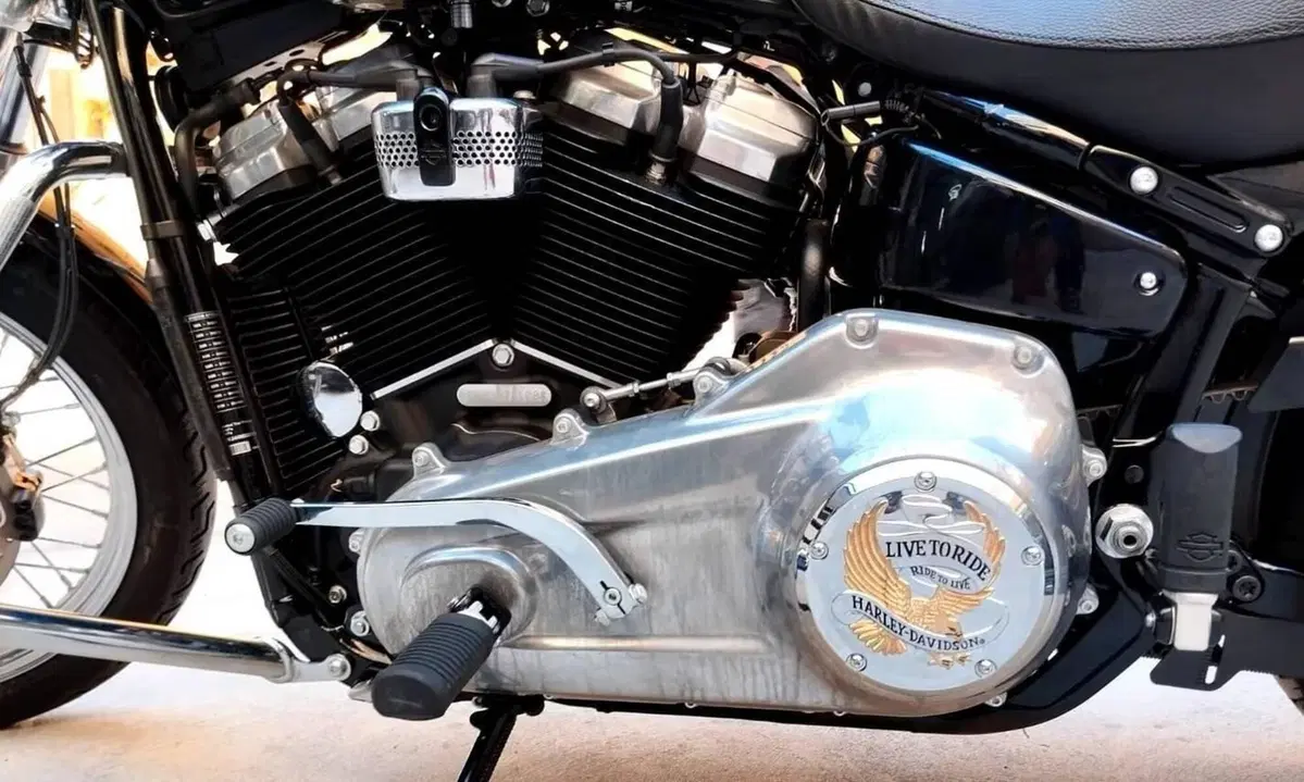 Harley-Davidson Softail Standard (2020) - FXST (3)