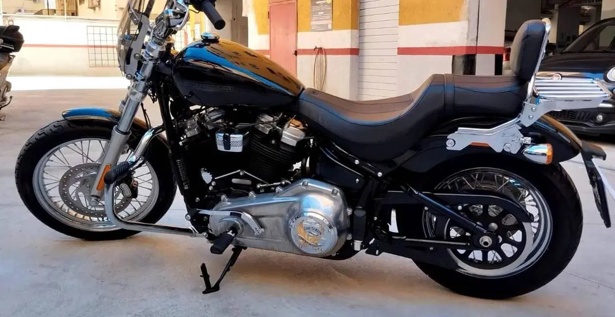 Harley-Davidson Softail Standard (2020) - FXST (2)