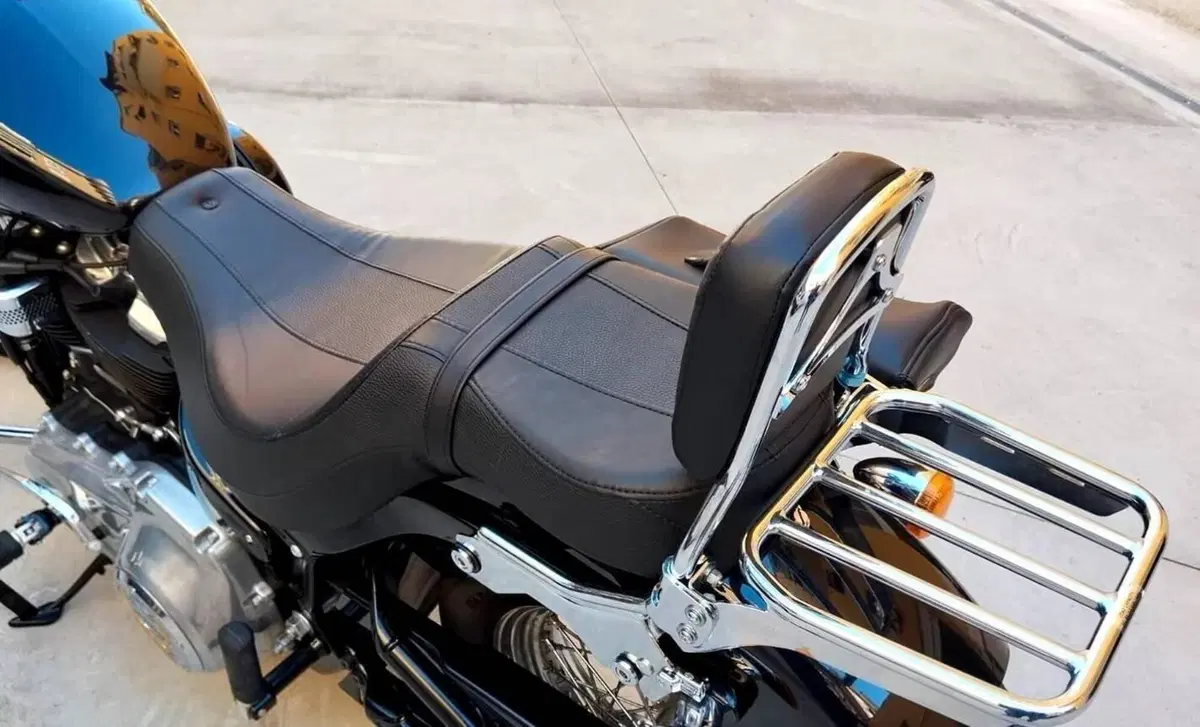 Harley-Davidson Softail Standard (2020) - FXST (5)